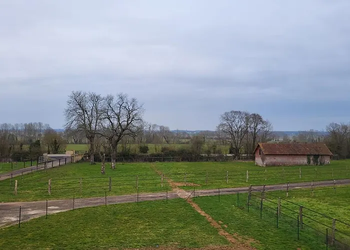 فيلة De L'ecurie *