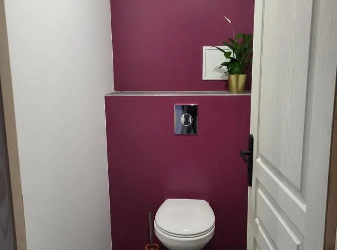 فيلة De L'ecurie Saint-Samson